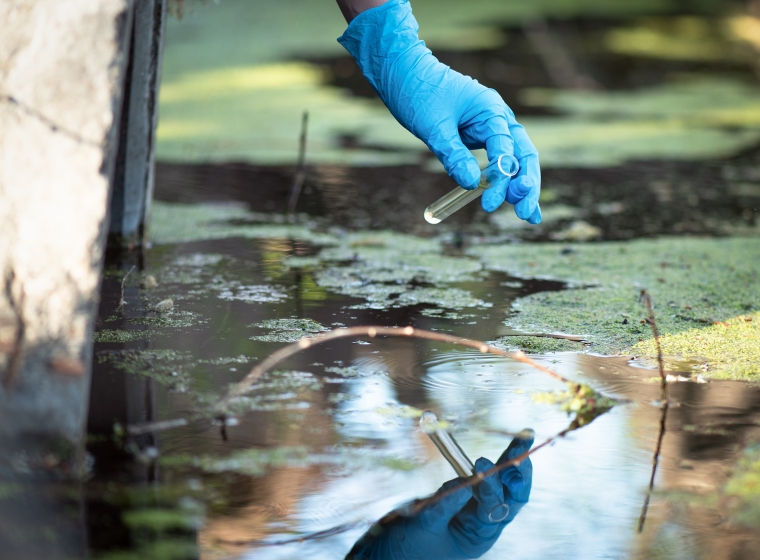 Scientist takes samples of dirty water from a pond into a test tube