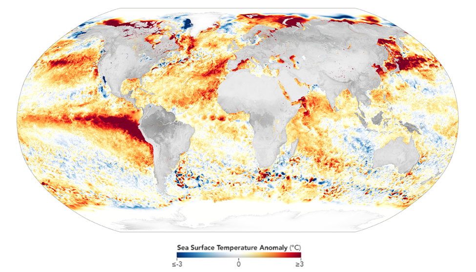 NASA Sea Surface Temperature Anomaly