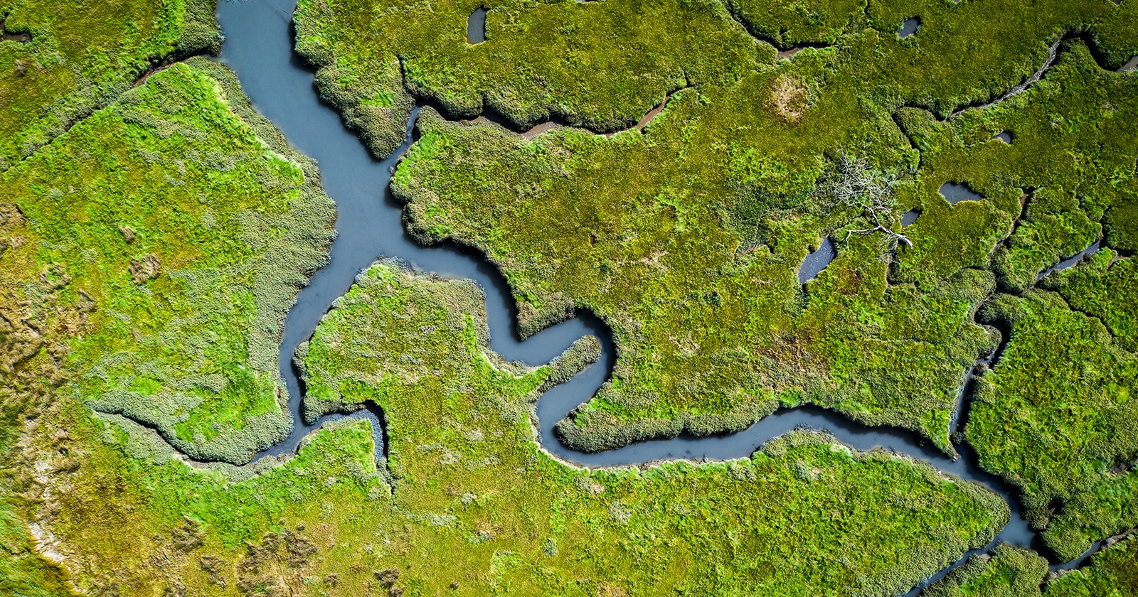 An aerial view of a river surrounded by green grass. Exponent exposure assessments, environmental forensics, and remediation support.