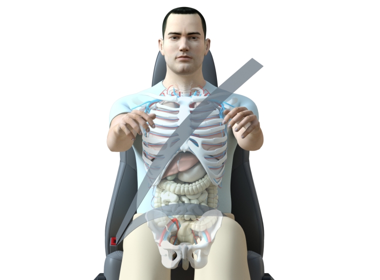 Car driver anatomy graphic