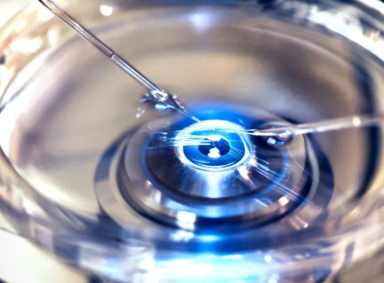 Objectively Assessing an In Vitro Diagnostic Startup Analyze