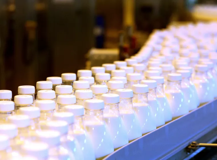 Four long rows of plastic bottles filled with white liquid on an assembly line