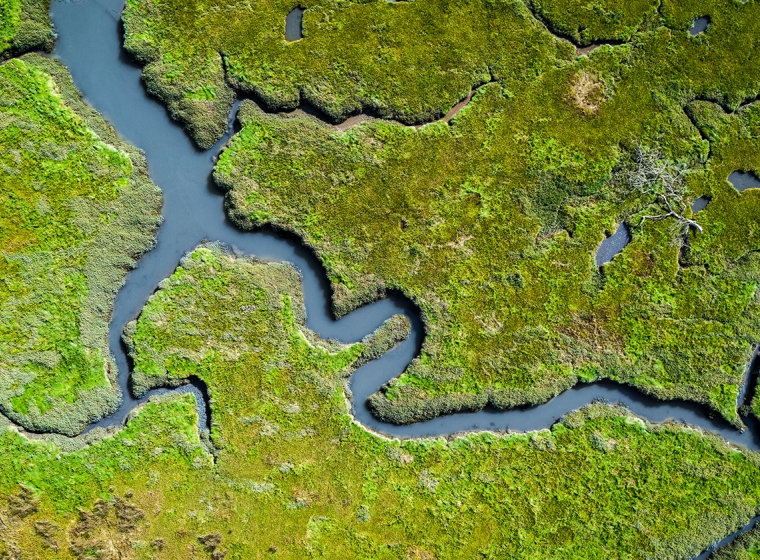 An aerial view of a river surrounded by green grass. Exponent exposure assessments, environmental forensics, and remediation support.