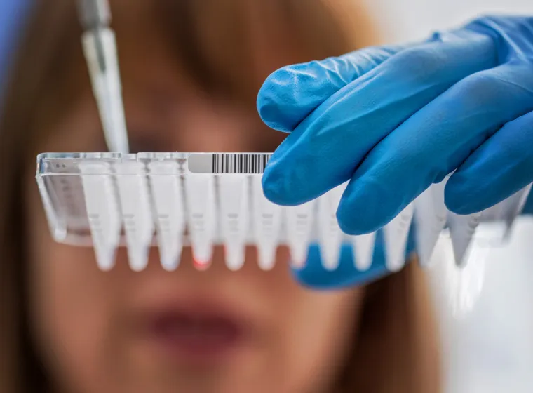 Female scientist working at a laboratory, inspecting a PCR sample tray