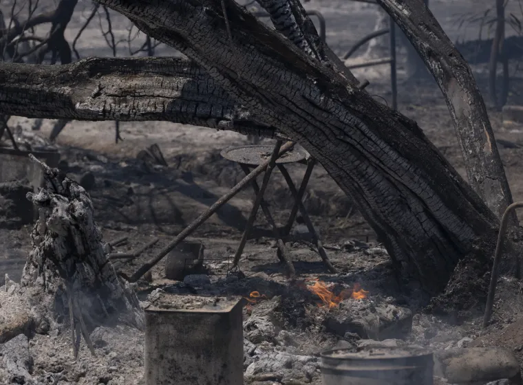 Forest Fire Suppression and Cooling Efforts