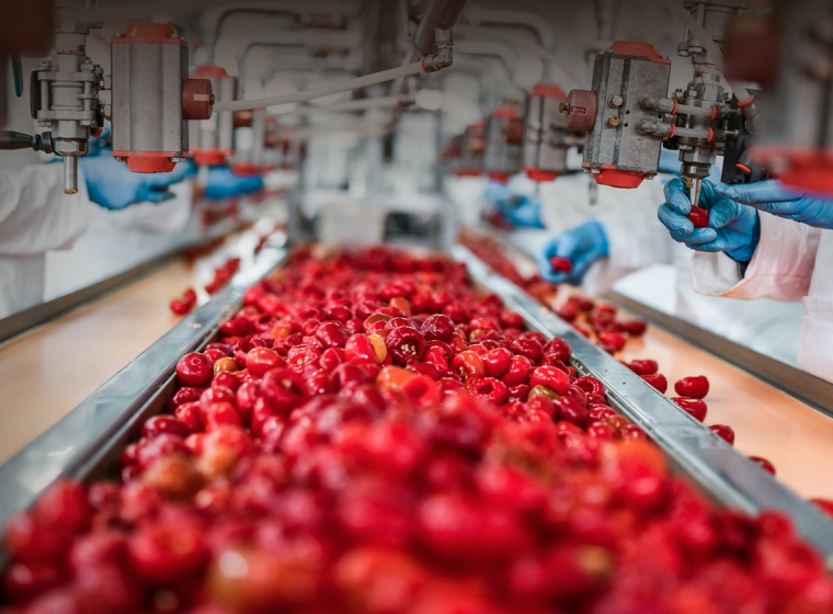 Fresh produce on a food factory conveyer belt. Exponent helps you deliver on the promise of healthy, hazard-free foods and beverages.