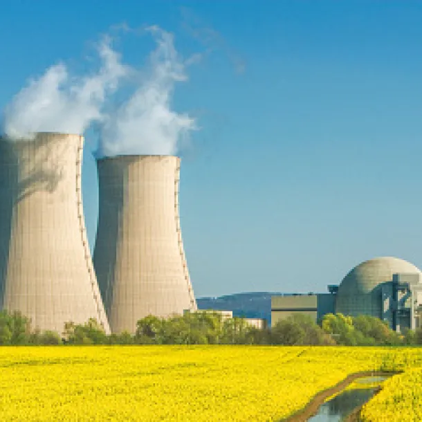Nuclear consulting services for nuclear reactors, including small modular nuclear reactors
