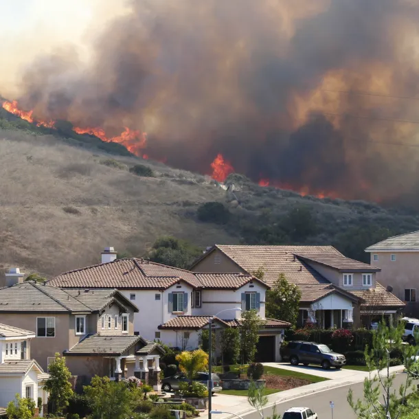 Wildfire near houses