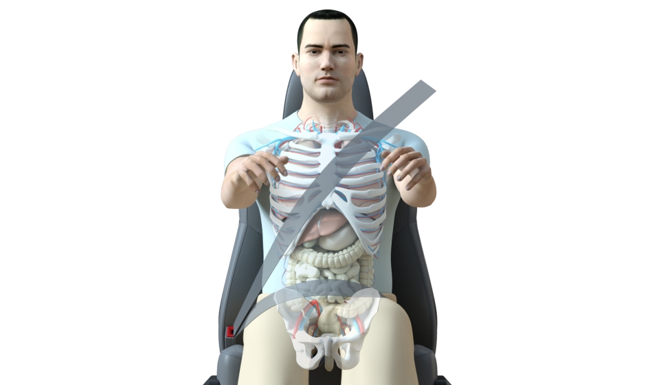 Car driver anatomy graphic