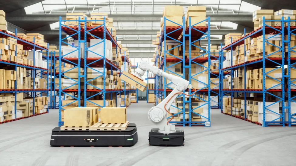 Automation with AGV and robotic arm in modern distribution warehouse.
