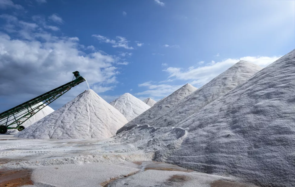A salt evaporation pond is a shallow artificial salt pan designed to extract salts from sea water or other brines.
