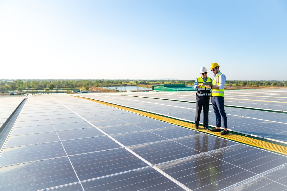 A pair of engineers surveying solar panels