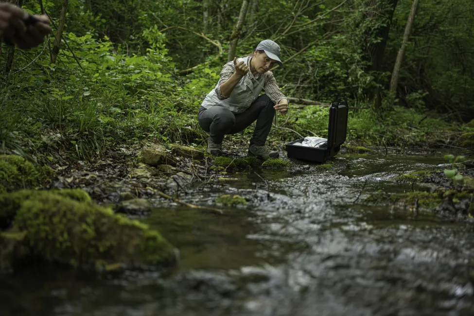 Sustainability practices in fieldwork