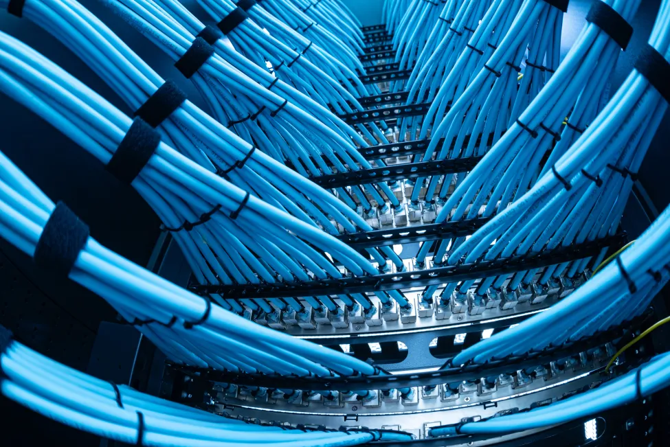 A close-up view of numerous blue network cables arranged neatly in a data center rack, illustrating modern technology and efficient organization for data management.