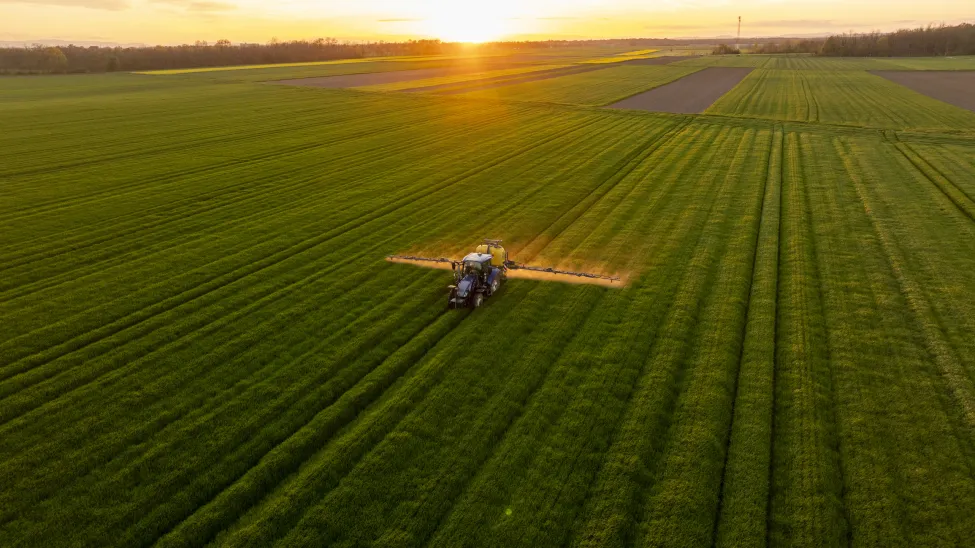 A tractor is fertilizing a vast green agricultural field at sunset, creating a serene rural atmosphere. The golden light adds warmth and depth to the lush landscape.