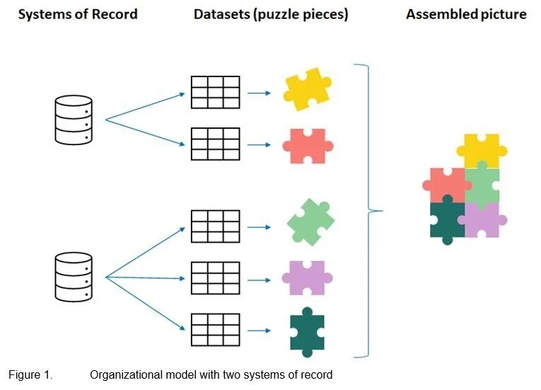 Organizational model with two systems of record: 5 data sets (depicted as puzzle pieces) and assembled puzzle pieces 