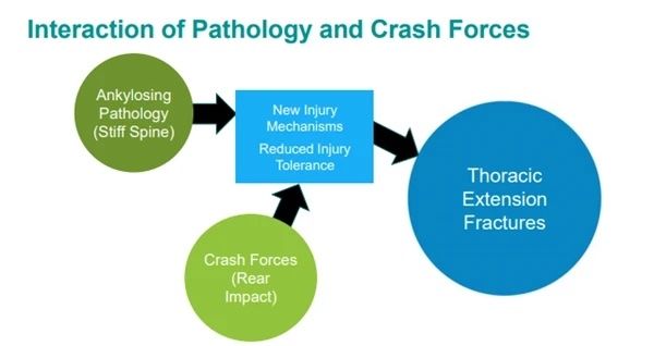 pathology and crash forces