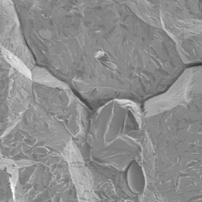 Closeup view of Alloy crack