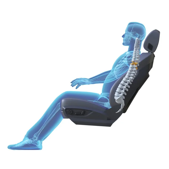 X-ray auto occupant