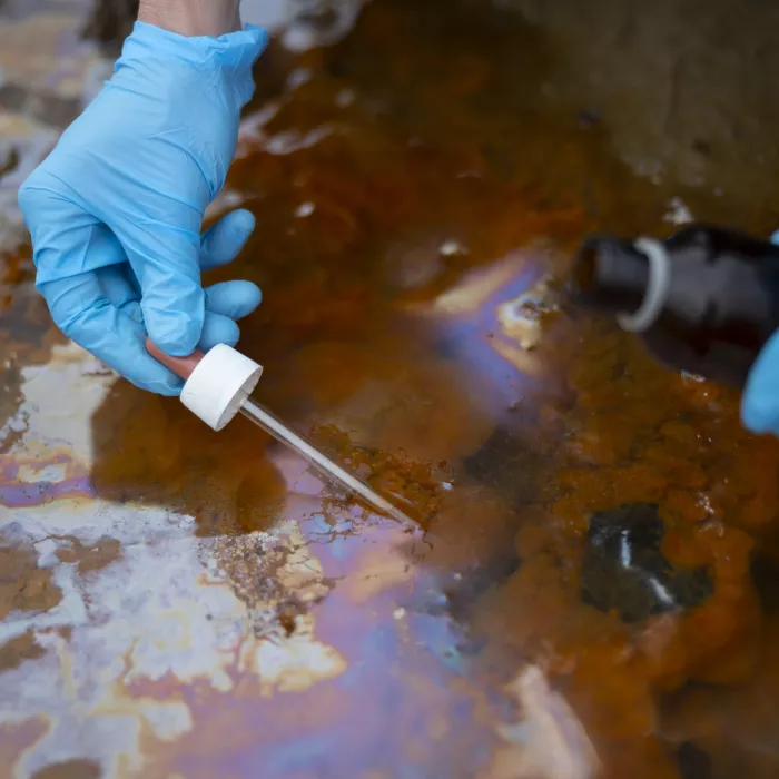 Scientist collects sample