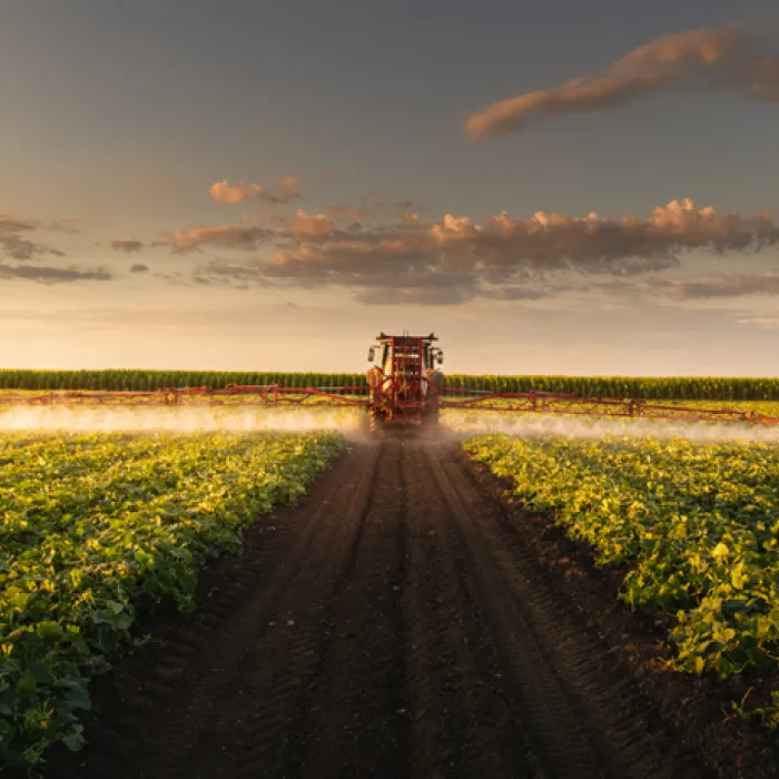 Tractor spraying pesticides on vegetable field with sprayer at spring