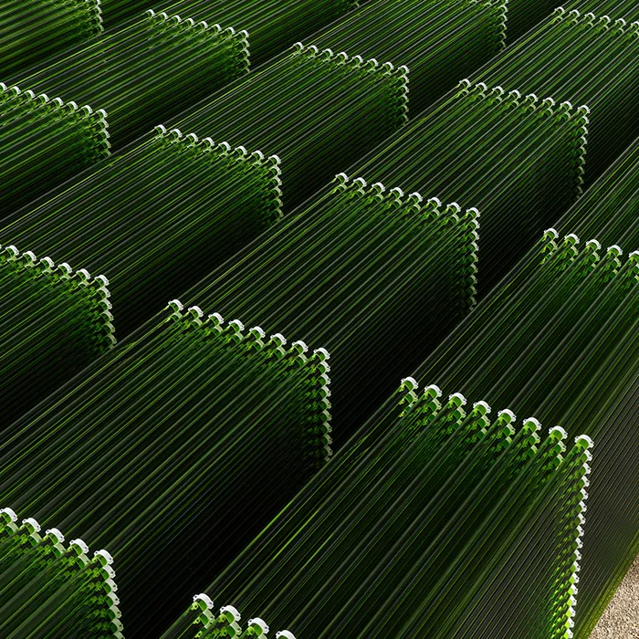 Tubular Algae Bioreactors Fixing CO2 To Produce Biofuel As An Alternative Fuel