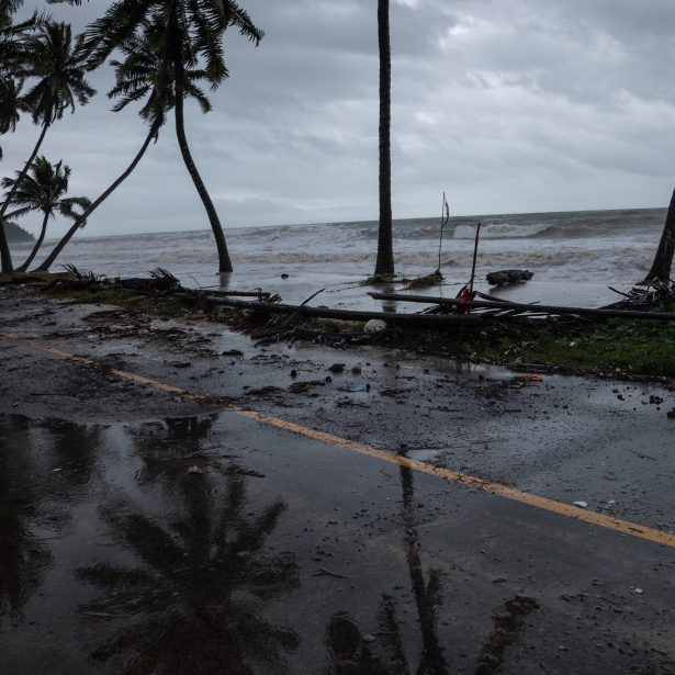 Trees downed across a road in a storm at the edge of beach 