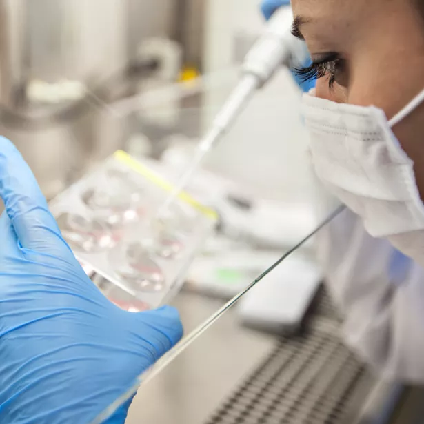 Scientist pipette liquid samples into a test container