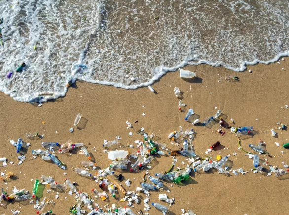 Waves pushing plastic waste to the beach