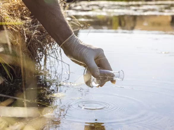 Water sample and purity analysis test