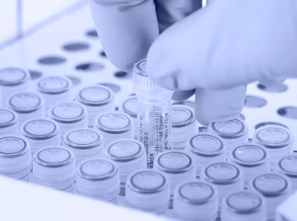 Scientist removes a tube. Gloved hand.