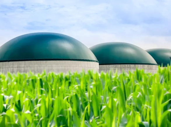 Modern Biogas Plant
