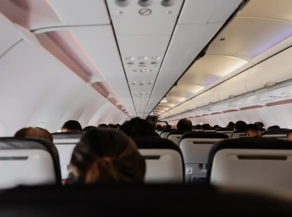 Plane cabin