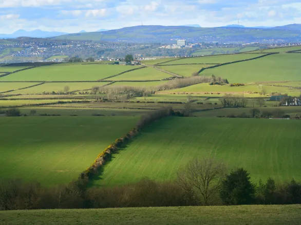 Landscape of fields