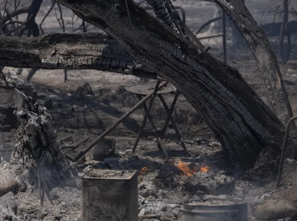 Forest Fire Suppression and Cooling Efforts