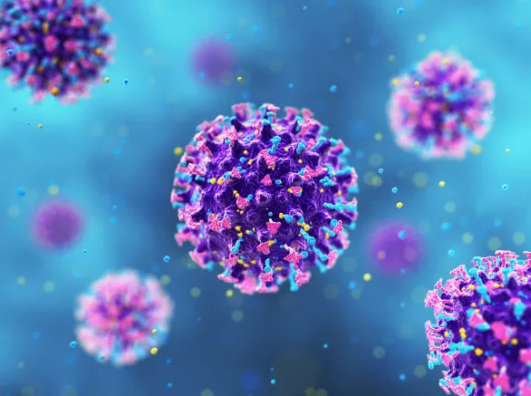 Hantavirus. 3D Render
