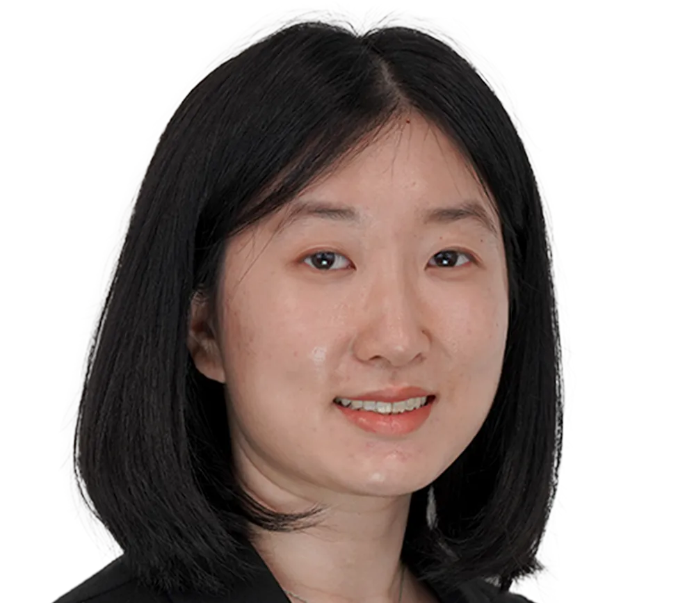 Connie Chen, Ph.D., P.E.