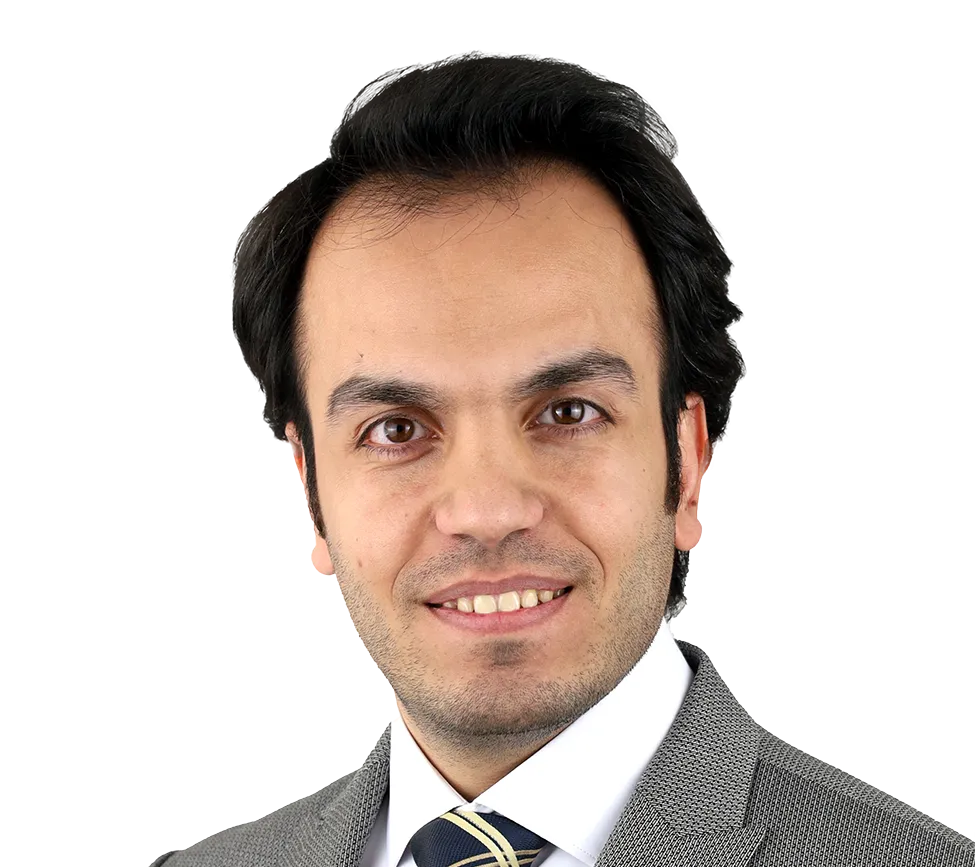 Mostafa Ahmadzadeh, Ph.D., P.E.
