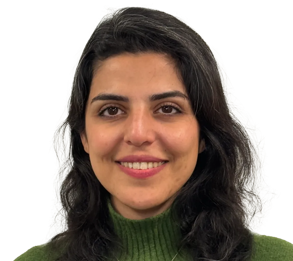 Ronak Mehrabi, Ph.D., P.E.