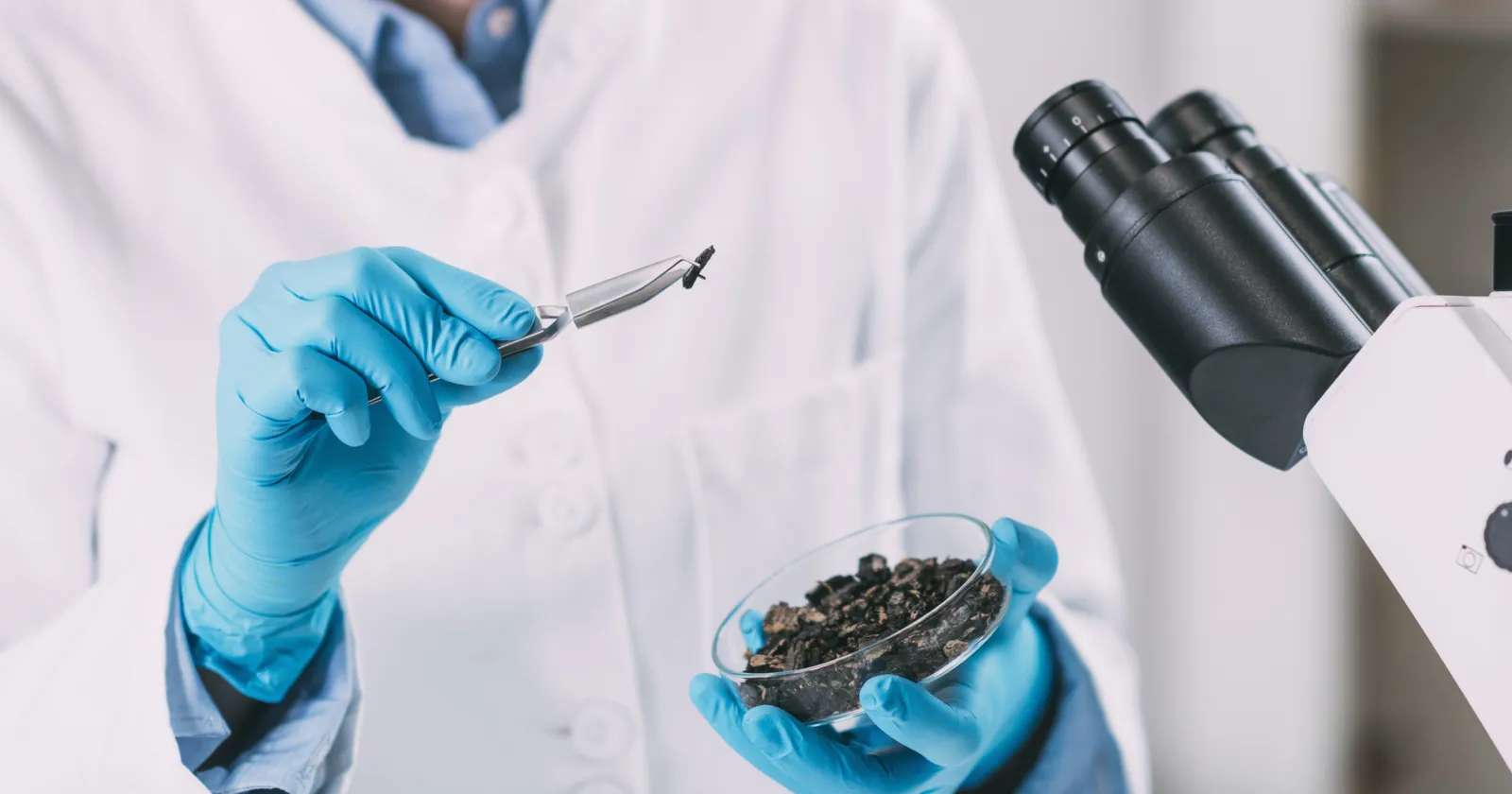 Archeology Scientists Analyzing Charred Wood in Petri Dish 