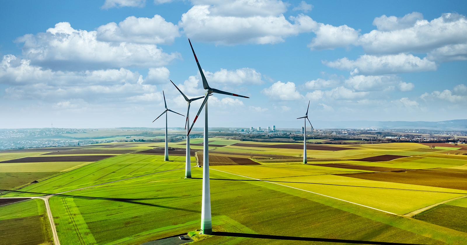 Wind turbines standing in a field of crops on a sunny day. Exponent engineers provide support for all energy systems.
