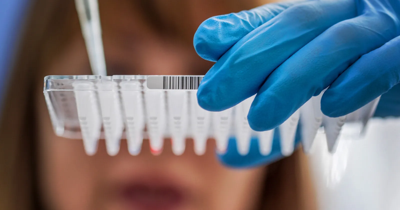Female scientist working at a laboratory, inspecting a PCR sample tray