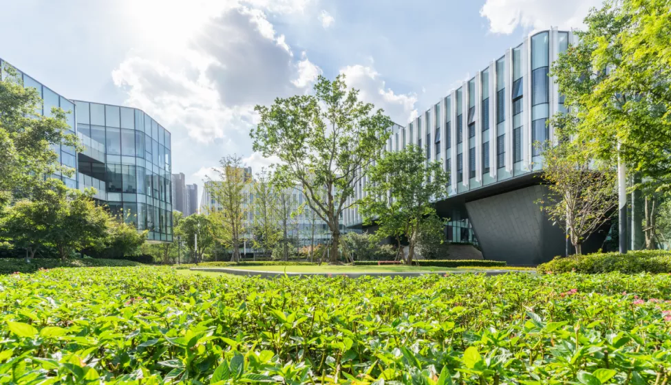 A green space filled with trees, grass, and shrubbery surrounded by corporate buildings
