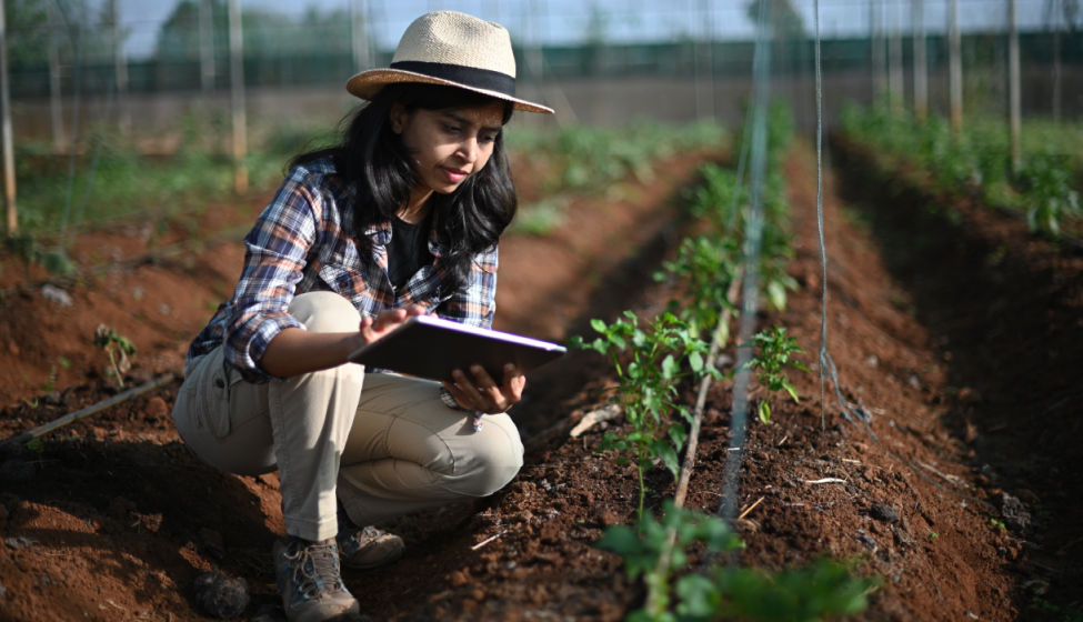 Young woman in a field with long rows of crops, kneeling in a furrow beside a plant writing observations on an ipad