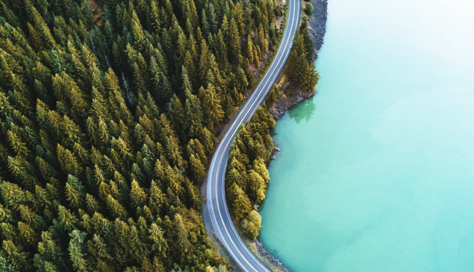 A coastal winding road going through a forest of trees to the left and a body of water to the right