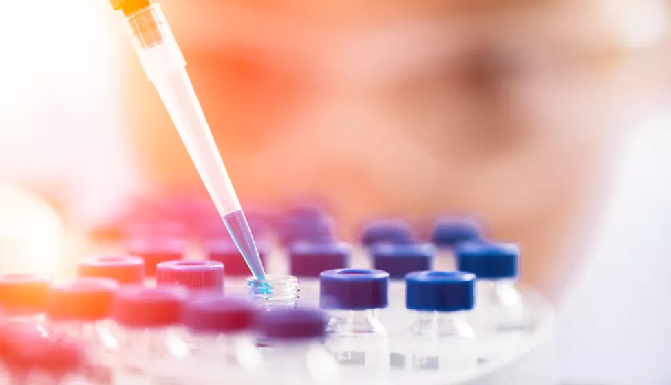 A pipette with blue liquid filling vials