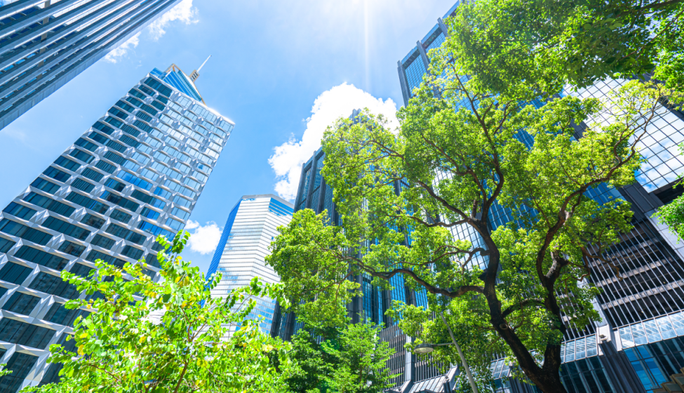 Trees surrounded by high rise buildings on a sunny day