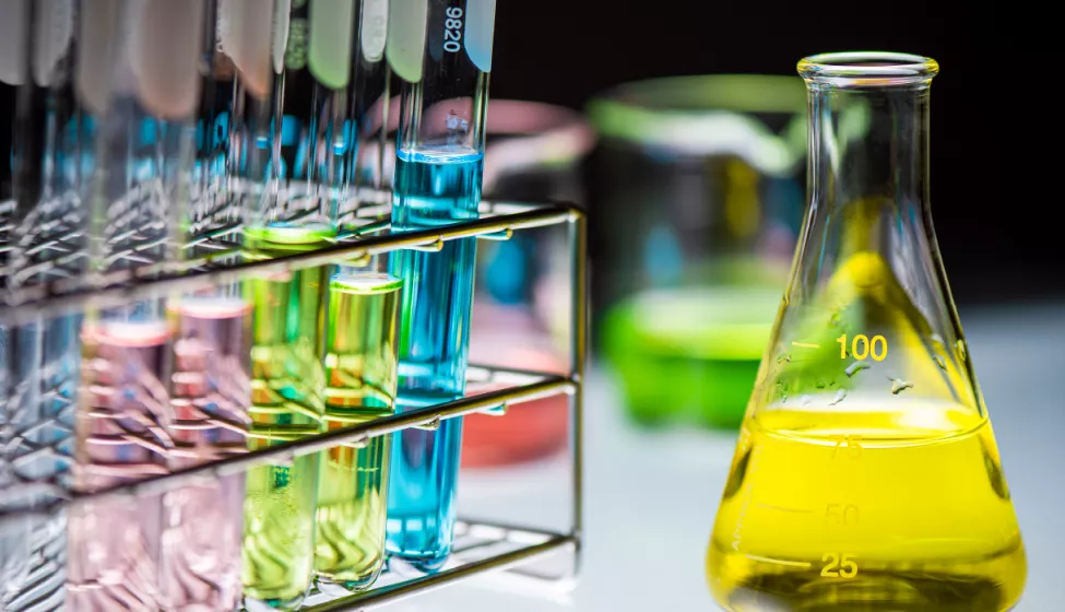 A flask filled with yellow liquid next to a test tube rack holding many test tubes containing various colored liquids
