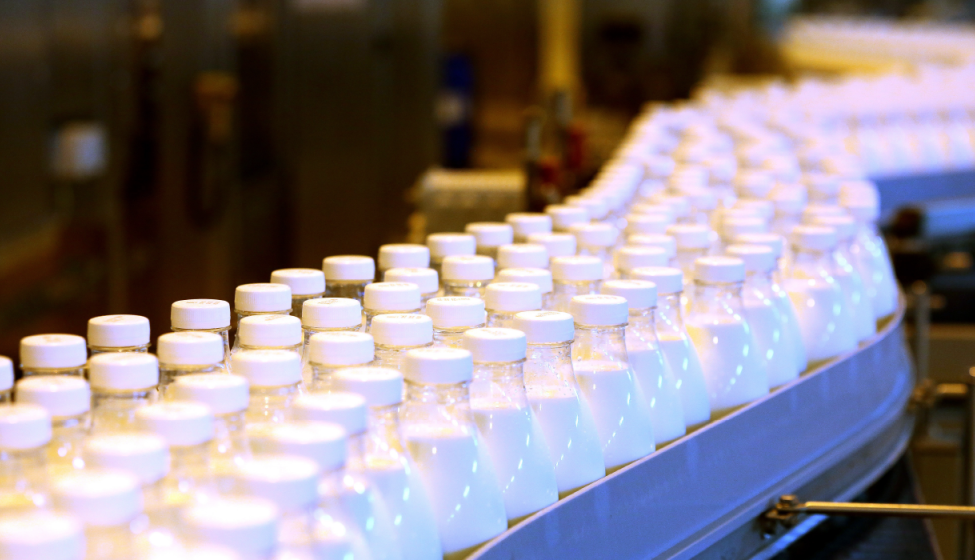 Four long rows of plastic bottles filled with white liquid on an assembly line