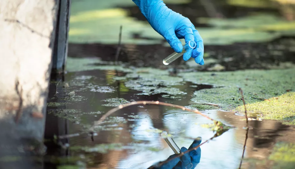 Scientist takes samples of dirty water from a pond into a test tube